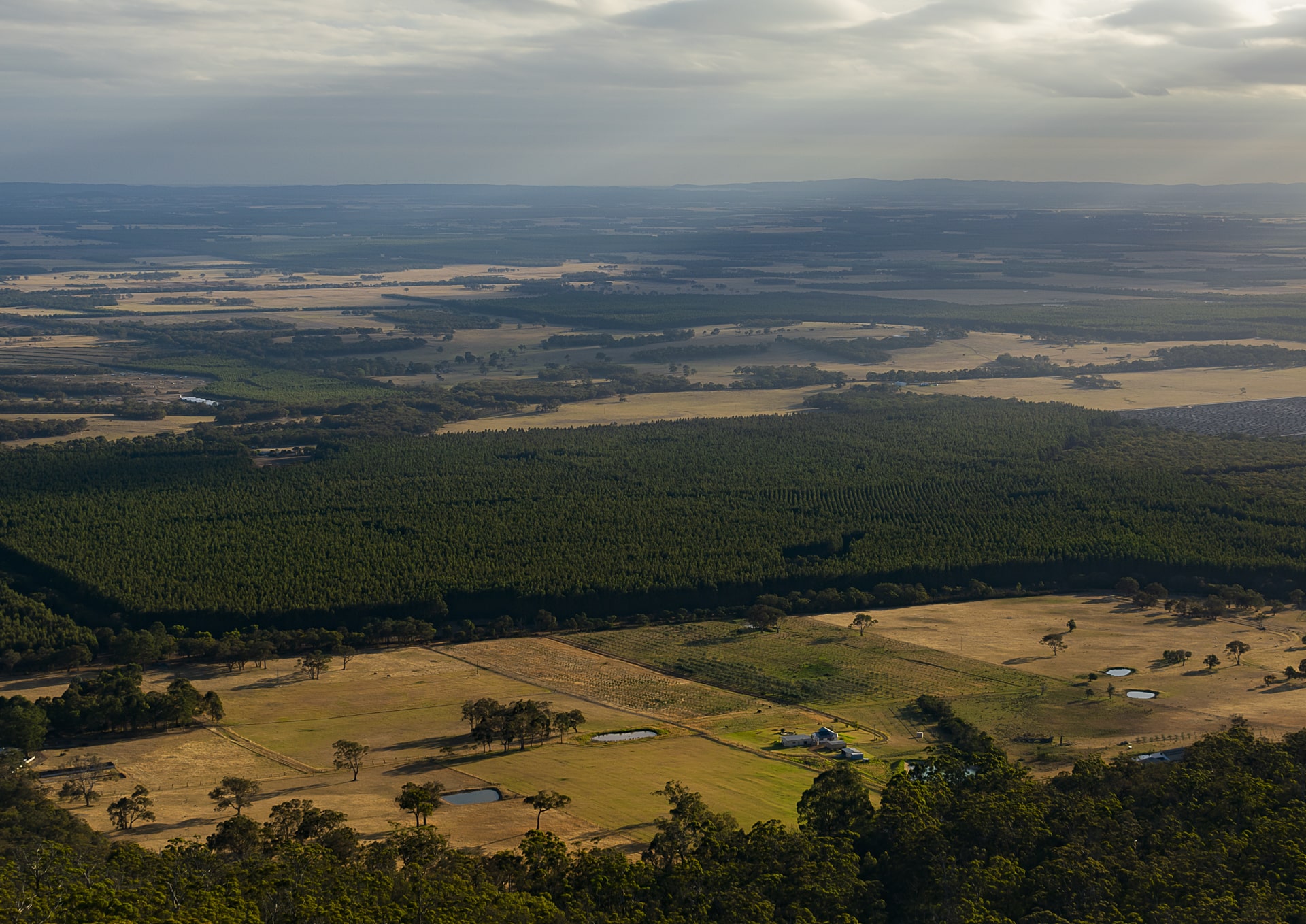 Castle Rock Lookout