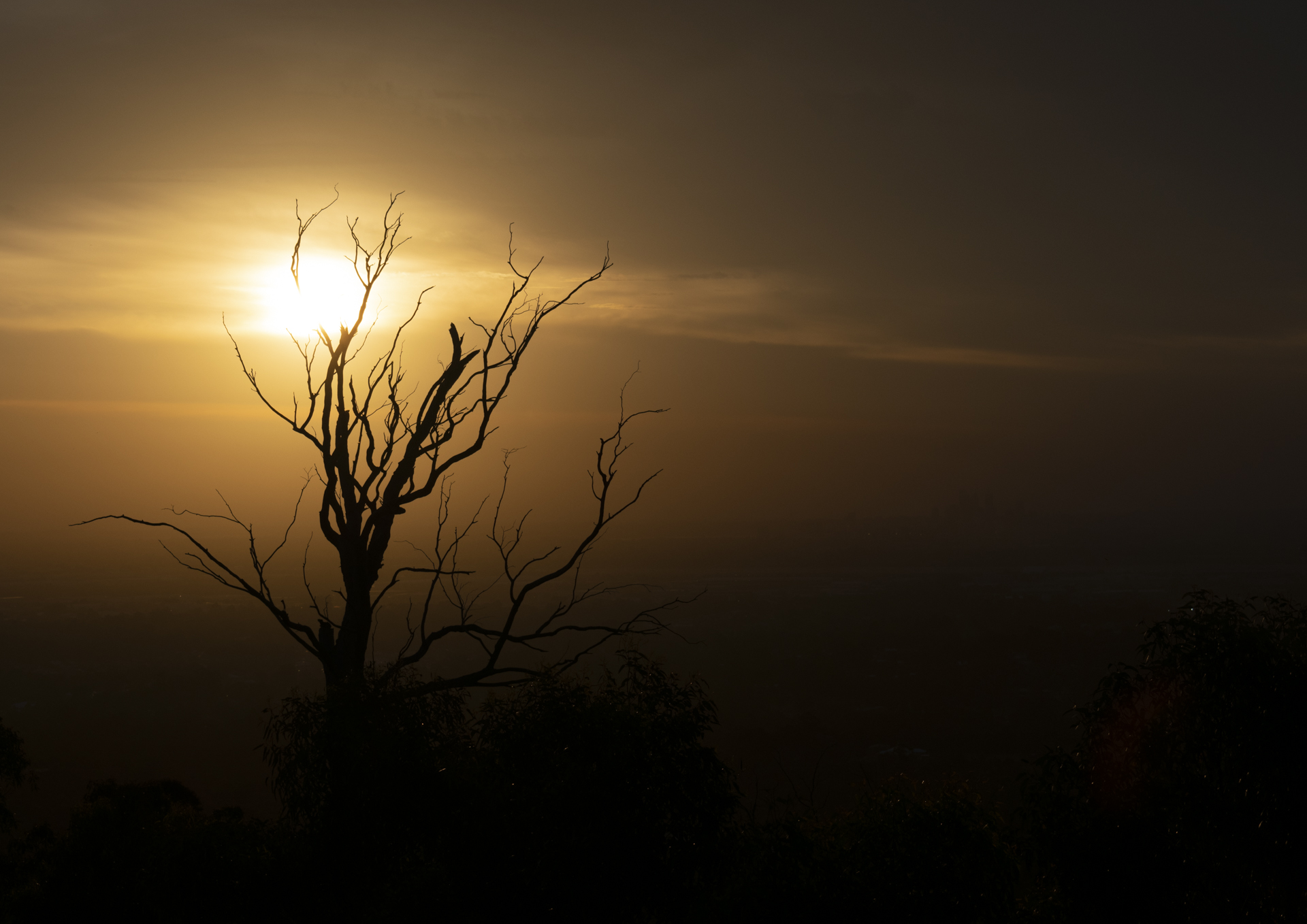 Perth Lookout